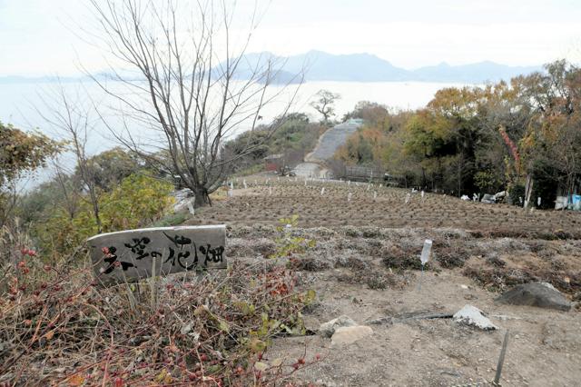 冬は茶色い「天空の花畑」　2カ月間の春のため家族3人の地道な作業