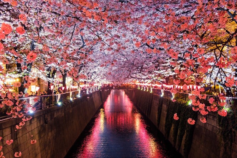 日本の温泉旅館