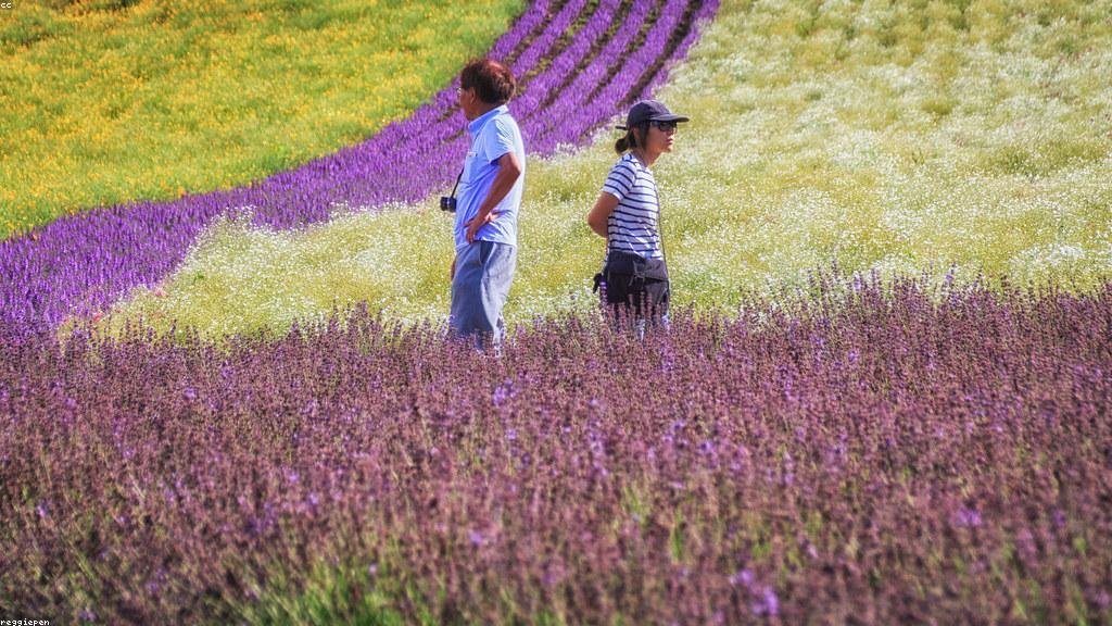 北海道、観光客数がコロナ前を上回る回復基調 - 画像1