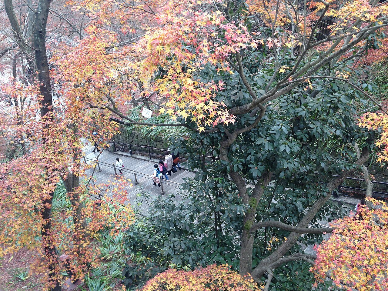 紅葉シーズン到来、京都など全国の名所で見頃続出 - 画像2