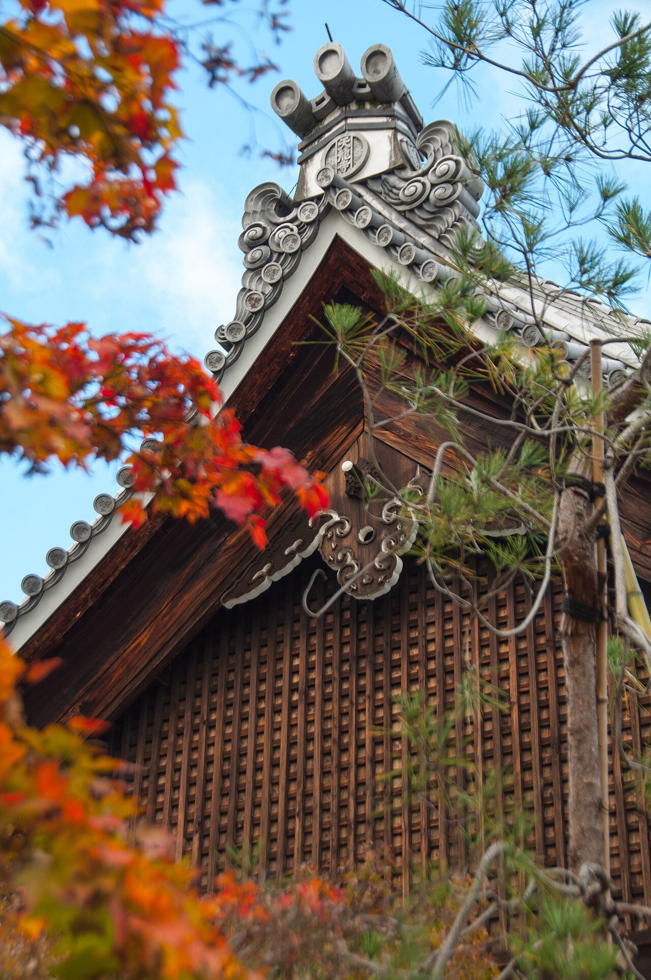 紅葉シーズン到来、京都など全国の名所で見頃続出 - 画像3