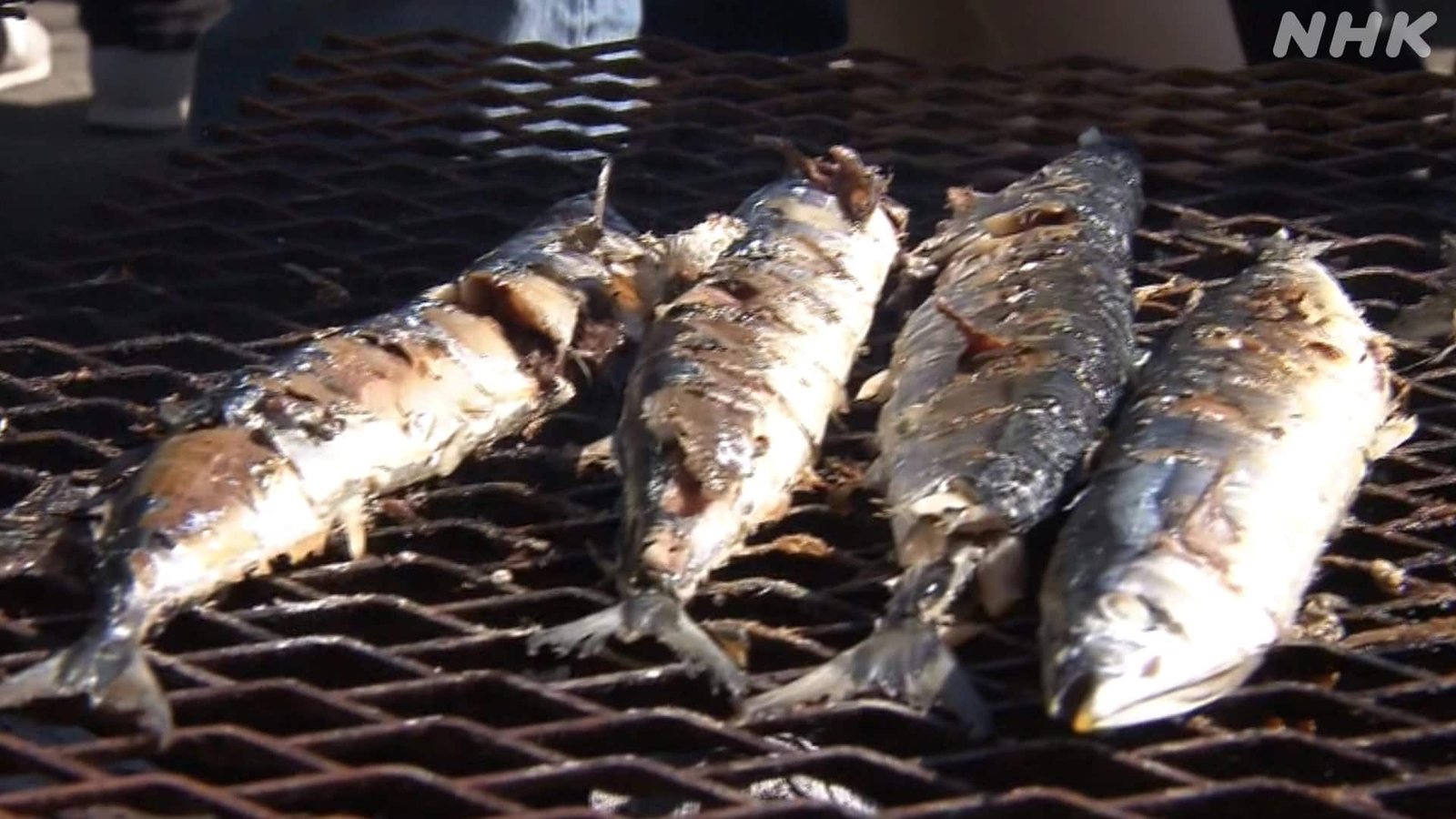 不漁のさんまでもにぎわう「根室さんま祭り」 つかみ取りに長い行列 北海道 - 画像2